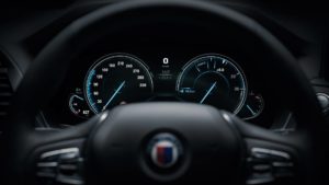 Alpina XD3 2018 - BMW X3 G01 (7)