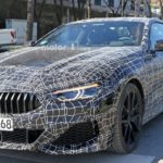 BMW M850i Coupe Spy 2019 G14 (5)