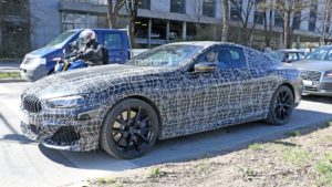 BMW M850i Coupe Spy 2019 G14 (6)
