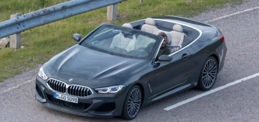 BMW Serie 8 Cabrio 2019 Spy G14 (2)