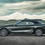 BMW Serie 8 Cabrio 2018 Leaked G14 (3)