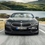 BMW Serie 8 Cabrio 2018 Leaked G14 (8)