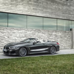 BMW Serie 8 Cabrio 2019 G14 (11)