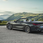 BMW Serie 8 Cabrio 2019 G14 (13)