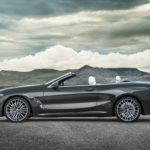 BMW Serie 8 Cabrio 2019 G14 (8)